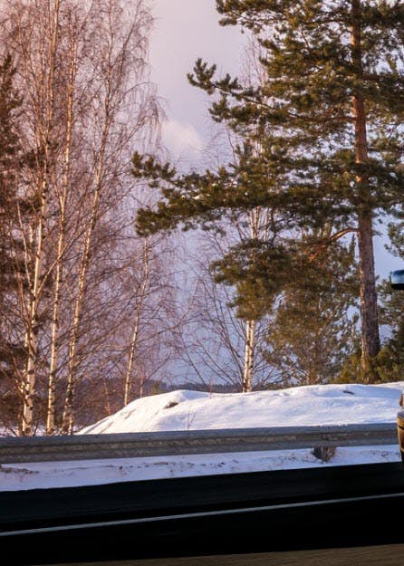 International Truck driving on highway through woods