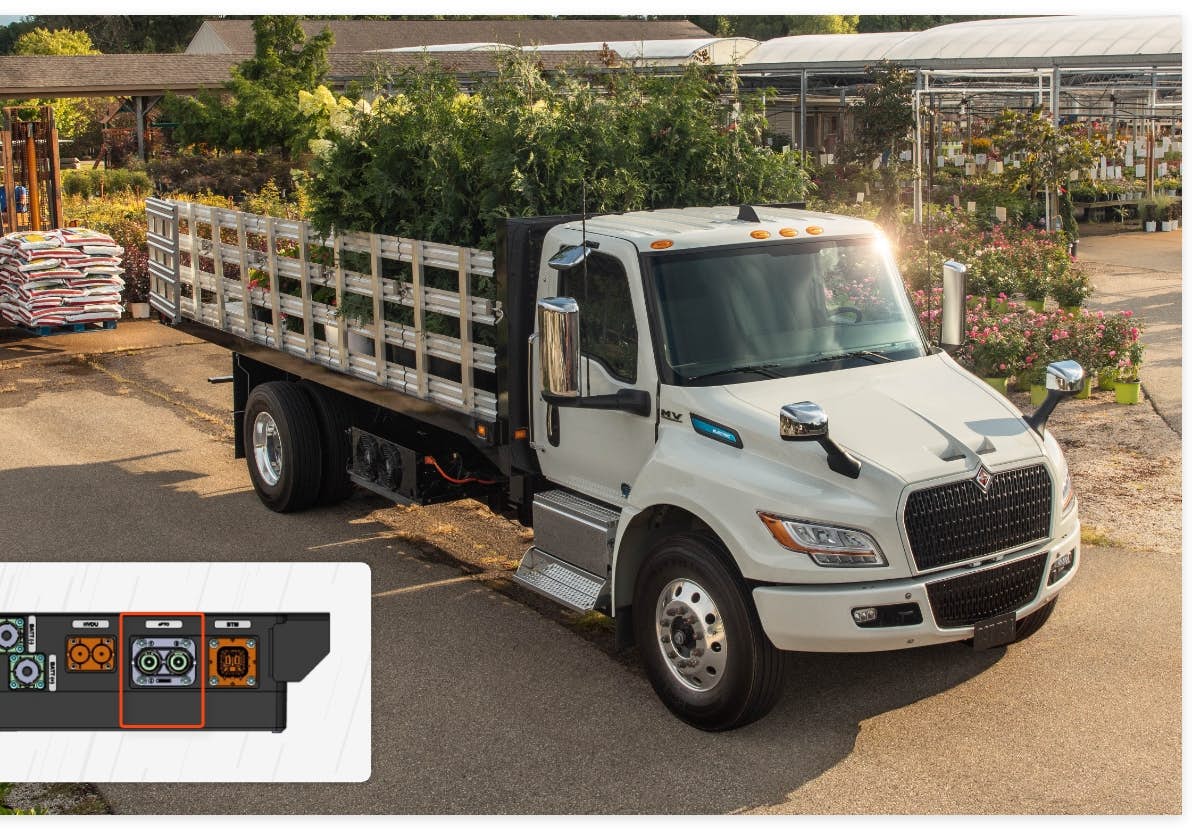 A truck with a load of plants