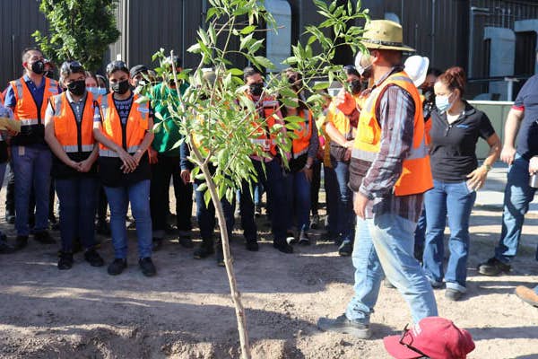 A group of people standing around a tree